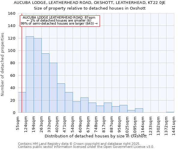 AUCUBA LODGE, LEATHERHEAD ROAD, OXSHOTT, LEATHERHEAD, KT22 0JE: Size of property relative to detached houses houses in Oxshott