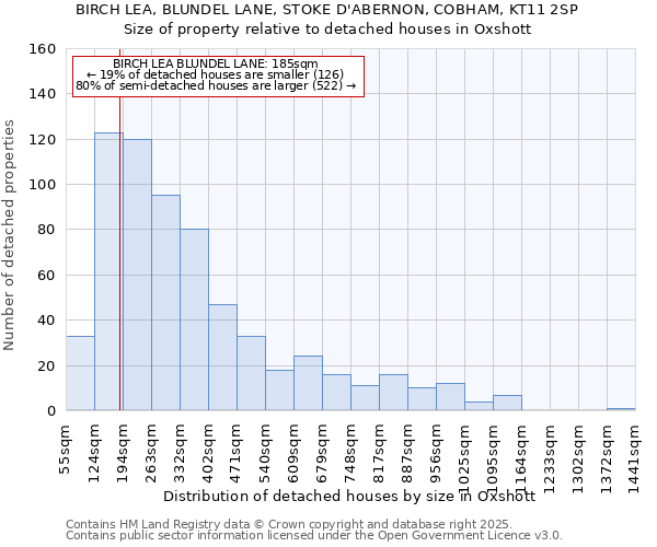 BIRCH LEA, BLUNDEL LANE, STOKE D'ABERNON, COBHAM, KT11 2SP: Size of property relative to detached houses houses in Oxshott