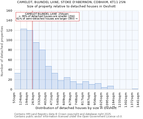 CAMELOT, BLUNDEL LANE, STOKE D'ABERNON, COBHAM, KT11 2SN: Size of property relative to detached houses houses in Oxshott