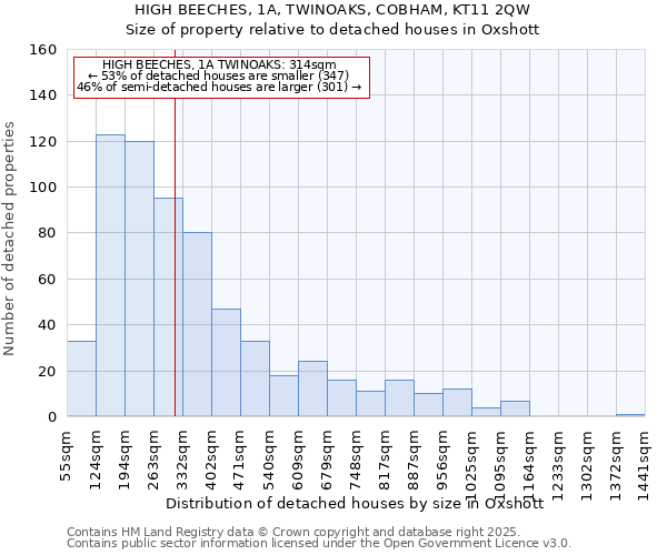 HIGH BEECHES, 1A, TWINOAKS, COBHAM, KT11 2QW: Size of property relative to detached houses houses in Oxshott