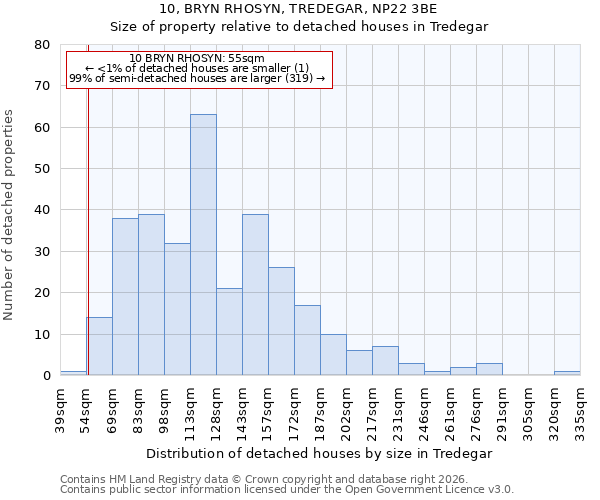 10, BRYN RHOSYN, TREDEGAR, NP22 3BE: Size of property relative to detached houses in Tredegar