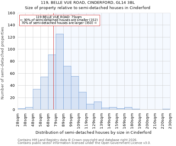 119, BELLE VUE ROAD, CINDERFORD, GL14 3BL: Size of property relative to semi-detached houses in Cinderford