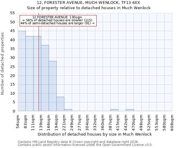 12, FORESTER AVENUE, MUCH WENLOCK, TF13 6EX: Size of property relative to detached houses in Much Wenlock