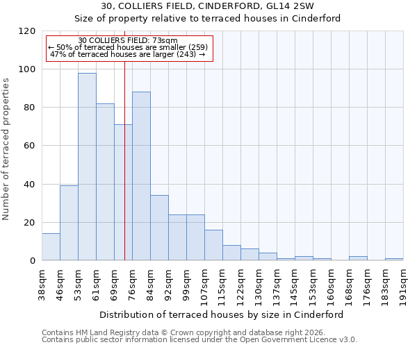 30, COLLIERS FIELD, CINDERFORD, GL14 2SW: Size of property relative to terraced houses in Cinderford