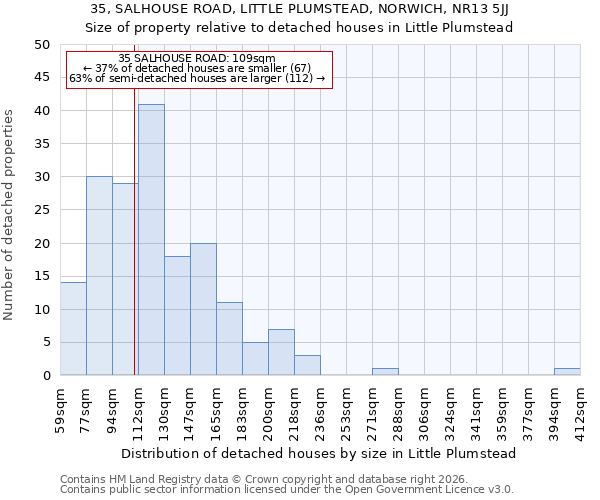 35, SALHOUSE ROAD, LITTLE PLUMSTEAD, NORWICH, NR13 5JJ: Size of property relative to detached houses in Little Plumstead