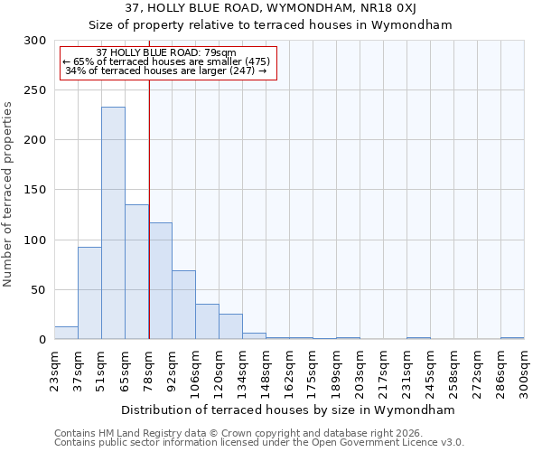 37, HOLLY BLUE ROAD, WYMONDHAM, NR18 0XJ: Size of property relative to terraced houses in Wymondham