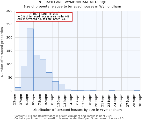 7C, BACK LANE, WYMONDHAM, NR18 0QB: Size of property relative to terraced houses in Wymondham