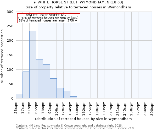 9, WHITE HORSE STREET, WYMONDHAM, NR18 0BJ: Size of property relative to terraced houses in Wymondham