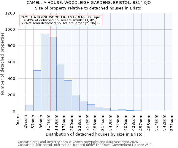 CAMELLIA HOUSE, WOODLEIGH GARDENS, BRISTOL, BS14 9JQ: Size of property relative to detached houses in Bristol