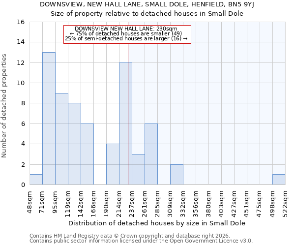 DOWNSVIEW, NEW HALL LANE, SMALL DOLE, HENFIELD, BN5 9YJ: Size of property relative to detached houses in Small Dole
