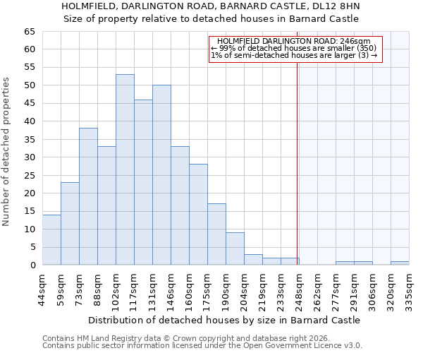 HOLMFIELD, DARLINGTON ROAD, BARNARD CASTLE, DL12 8HN: Size of property relative to detached houses in Barnard Castle