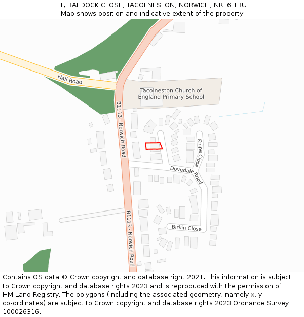 1, BALDOCK CLOSE, TACOLNESTON, NORWICH, NR16 1BU: Location map and indicative extent of plot
