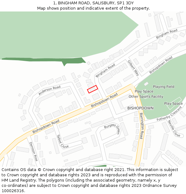 1, BINGHAM ROAD, SALISBURY, SP1 3DY: Location map and indicative extent of plot