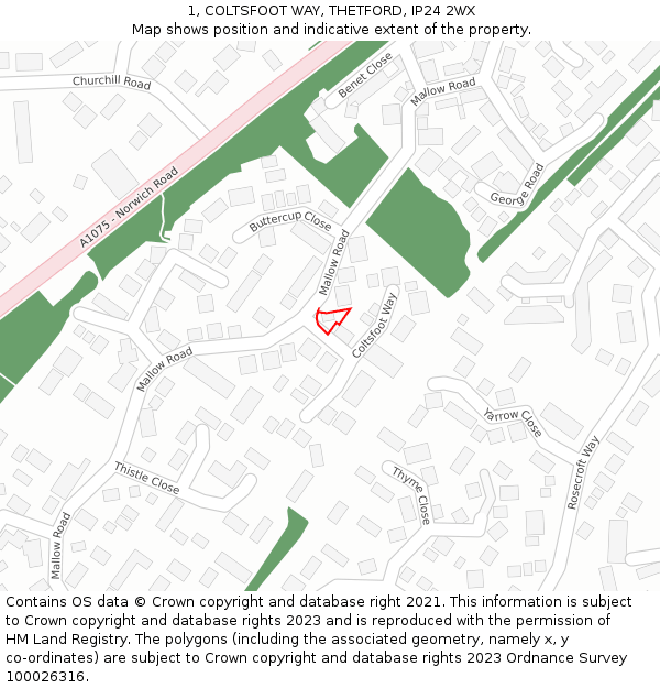 1, COLTSFOOT WAY, THETFORD, IP24 2WX: Location map and indicative extent of plot