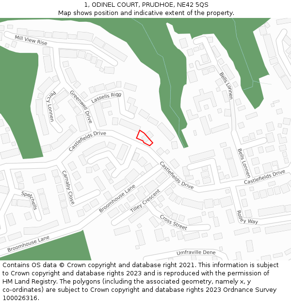 1, ODINEL COURT, PRUDHOE, NE42 5QS: Location map and indicative extent of plot