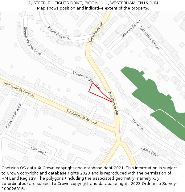 1, STEEPLE HEIGHTS DRIVE, BIGGIN HILL, WESTERHAM, TN16 3UN: Location map and indicative extent of plot