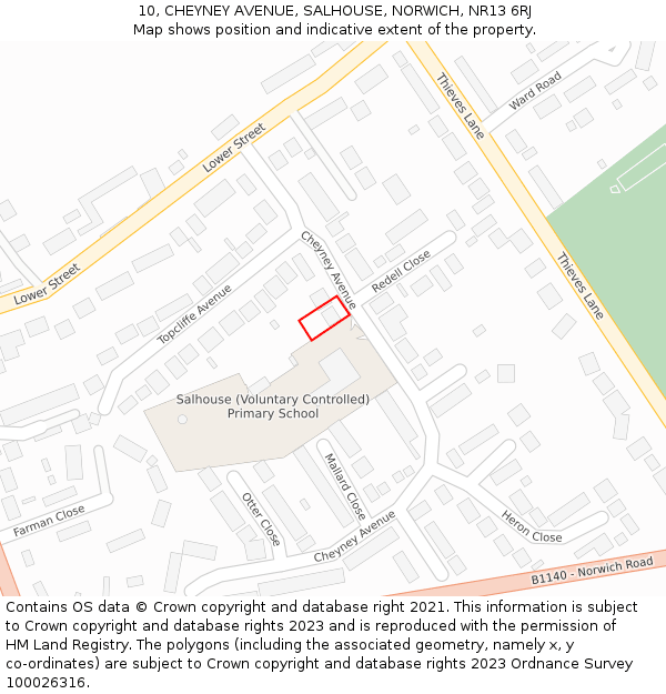 10, CHEYNEY AVENUE, SALHOUSE, NORWICH, NR13 6RJ: Location map and indicative extent of plot