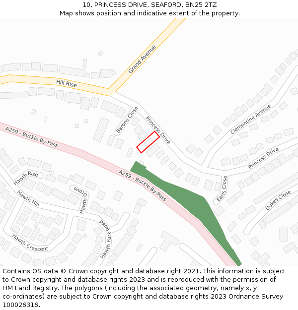 10, PRINCESS DRIVE, SEAFORD, BN25 2TZ: Location map and indicative extent of plot