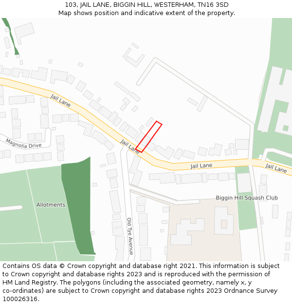 103, JAIL LANE, BIGGIN HILL, WESTERHAM, TN16 3SD: Location map and indicative extent of plot