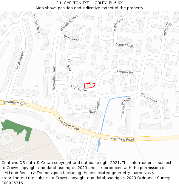 11, CARLTON TYE, HORLEY, RH6 9XJ: Location map and indicative extent of plot