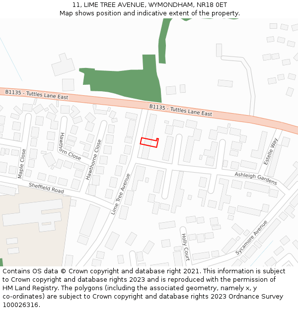 11, LIME TREE AVENUE, WYMONDHAM, NR18 0ET: Location map and indicative extent of plot