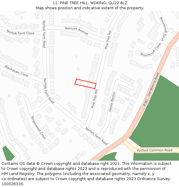 11, PINE TREE HILL, WOKING, GU22 8LZ: Location map and indicative extent of plot