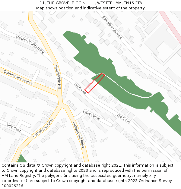 11, THE GROVE, BIGGIN HILL, WESTERHAM, TN16 3TA: Location map and indicative extent of plot