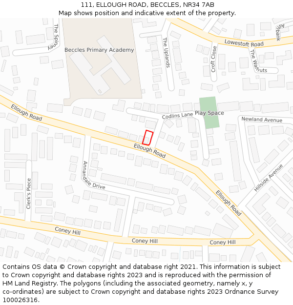 111, ELLOUGH ROAD, BECCLES, NR34 7AB: Location map and indicative extent of plot