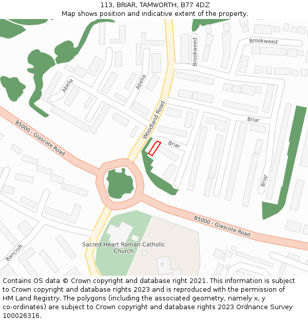113, BRIAR, TAMWORTH, B77 4DZ: Location map and indicative extent of plot