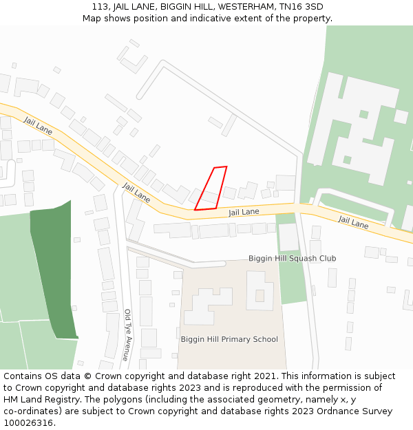 113, JAIL LANE, BIGGIN HILL, WESTERHAM, TN16 3SD: Location map and indicative extent of plot