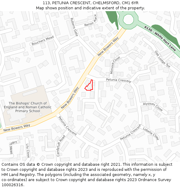 113, PETUNIA CRESCENT, CHELMSFORD, CM1 6YR: Location map and indicative extent of plot