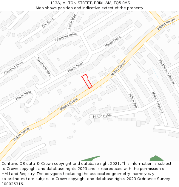 113A, MILTON STREET, BRIXHAM, TQ5 0AS: Location map and indicative extent of plot