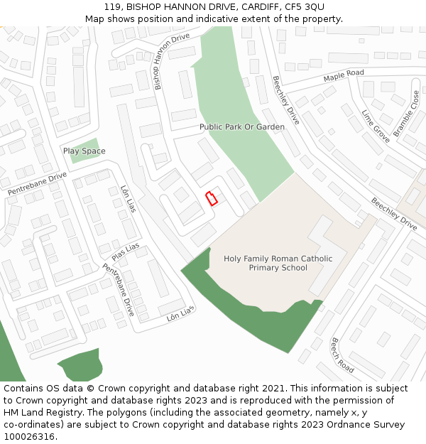 119, BISHOP HANNON DRIVE, CARDIFF, CF5 3QU: Location map and indicative extent of plot