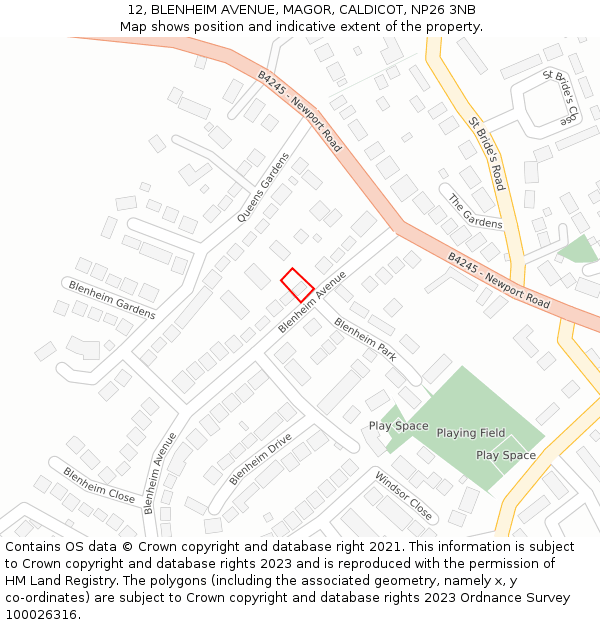 12, BLENHEIM AVENUE, MAGOR, CALDICOT, NP26 3NB: Location map and indicative extent of plot