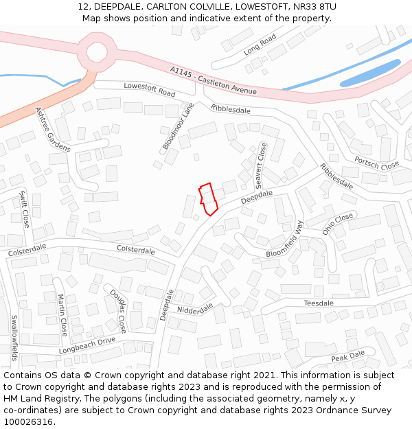 12, DEEPDALE, CARLTON COLVILLE, LOWESTOFT, NR33 8TU: Location map and indicative extent of plot