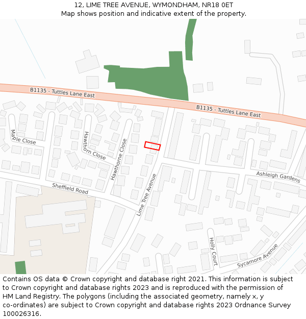 12, LIME TREE AVENUE, WYMONDHAM, NR18 0ET: Location map and indicative extent of plot
