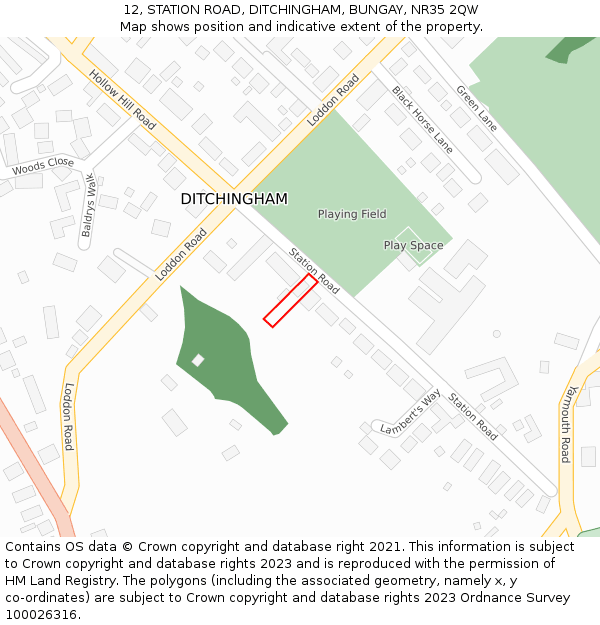 12, STATION ROAD, DITCHINGHAM, BUNGAY, NR35 2QW: Location map and indicative extent of plot