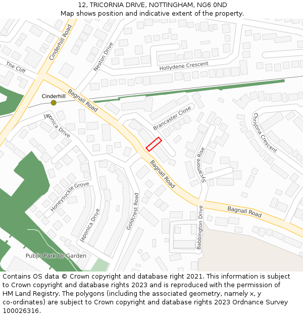 12, TRICORNIA DRIVE, NOTTINGHAM, NG6 0ND: Location map and indicative extent of plot
