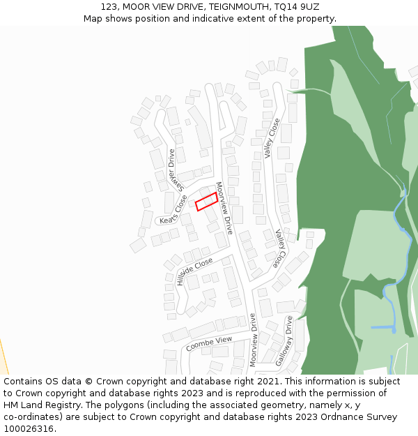 123, MOOR VIEW DRIVE, TEIGNMOUTH, TQ14 9UZ: Location map and indicative extent of plot