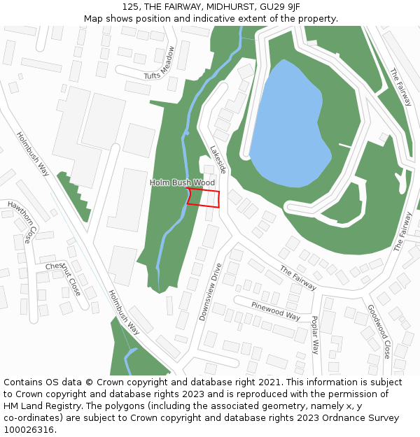 125, THE FAIRWAY, MIDHURST, GU29 9JF: Location map and indicative extent of plot
