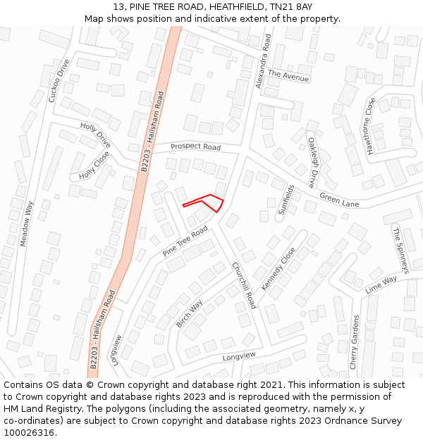 13, PINE TREE ROAD, HEATHFIELD, TN21 8AY: Location map and indicative extent of plot