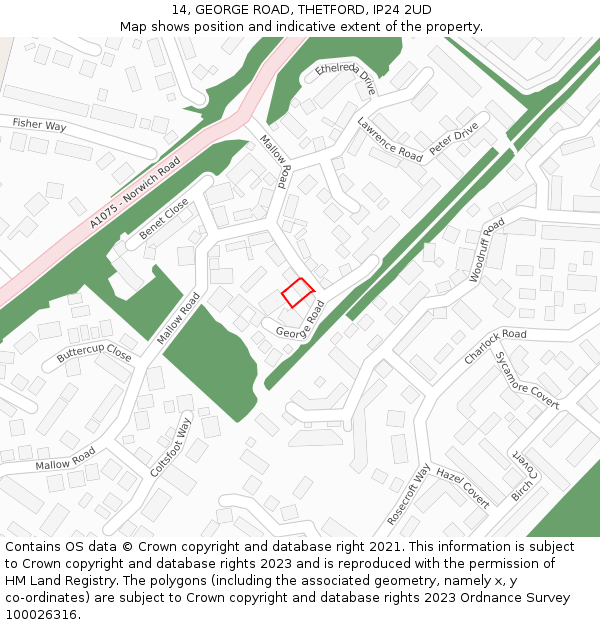 14, GEORGE ROAD, THETFORD, IP24 2UD: Location map and indicative extent of plot