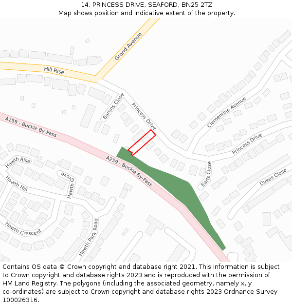 14, PRINCESS DRIVE, SEAFORD, BN25 2TZ: Location map and indicative extent of plot