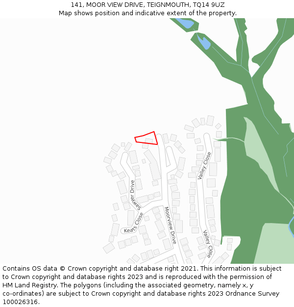 141, MOOR VIEW DRIVE, TEIGNMOUTH, TQ14 9UZ: Location map and indicative extent of plot