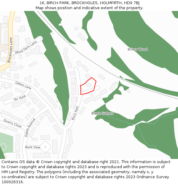 16, BIRCH PARK, BROCKHOLES, HOLMFIRTH, HD9 7BJ: Location map and indicative extent of plot