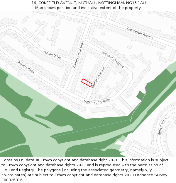 16, COKEFIELD AVENUE, NUTHALL, NOTTINGHAM, NG16 1AU: Location map and indicative extent of plot