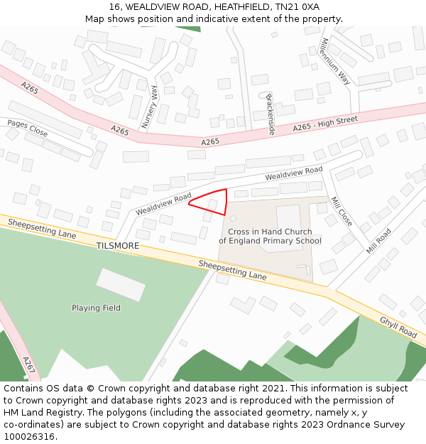 16, WEALDVIEW ROAD, HEATHFIELD, TN21 0XA: Location map and indicative extent of plot
