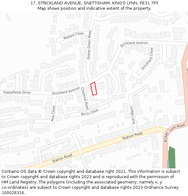 17, STRICKLAND AVENUE, SNETTISHAM, KING'S LYNN, PE31 7PY: Location map and indicative extent of plot