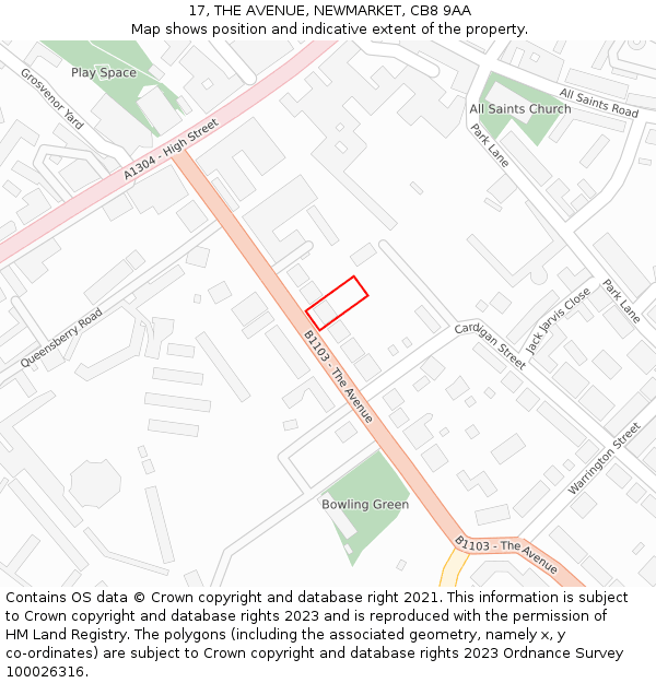17, THE AVENUE, NEWMARKET, CB8 9AA: Location map and indicative extent of plot