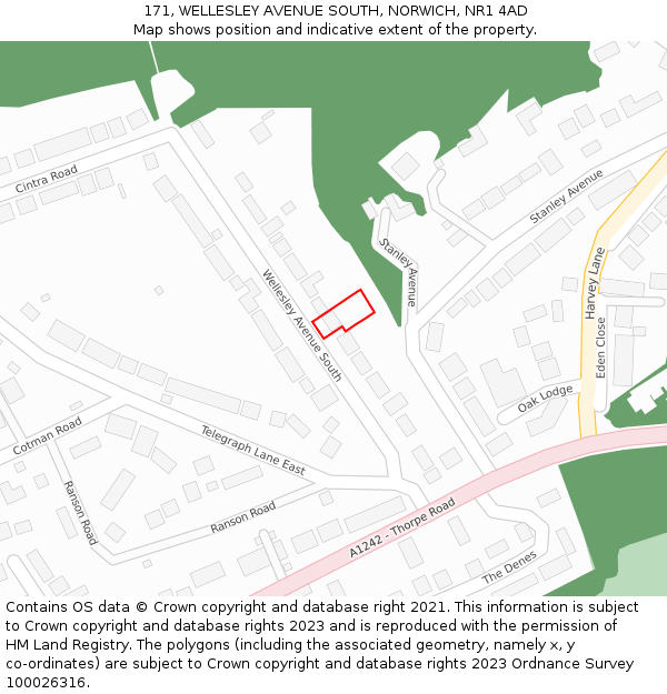 171, WELLESLEY AVENUE SOUTH, NORWICH, NR1 4AD: Location map and indicative extent of plot